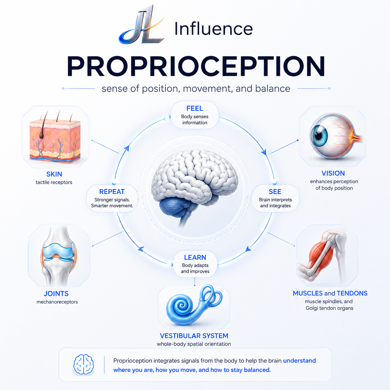 Proprioception: training the sense that controls every movement